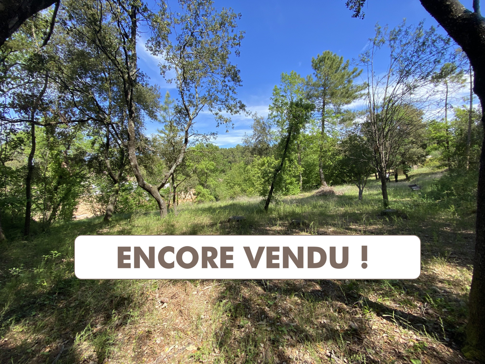 Image_1, Terrain, Montauroux, ref :ASL4120