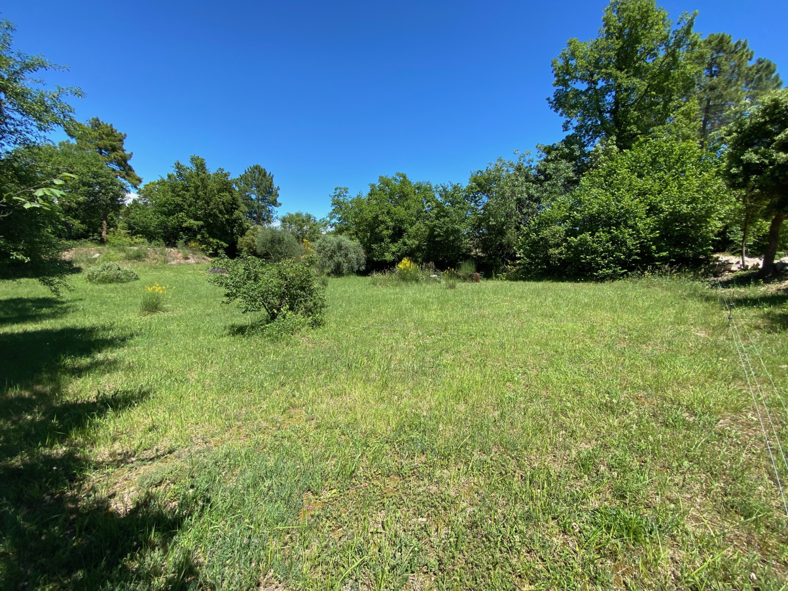 Image_1, Terrain, Montauroux, ref :ASL4101