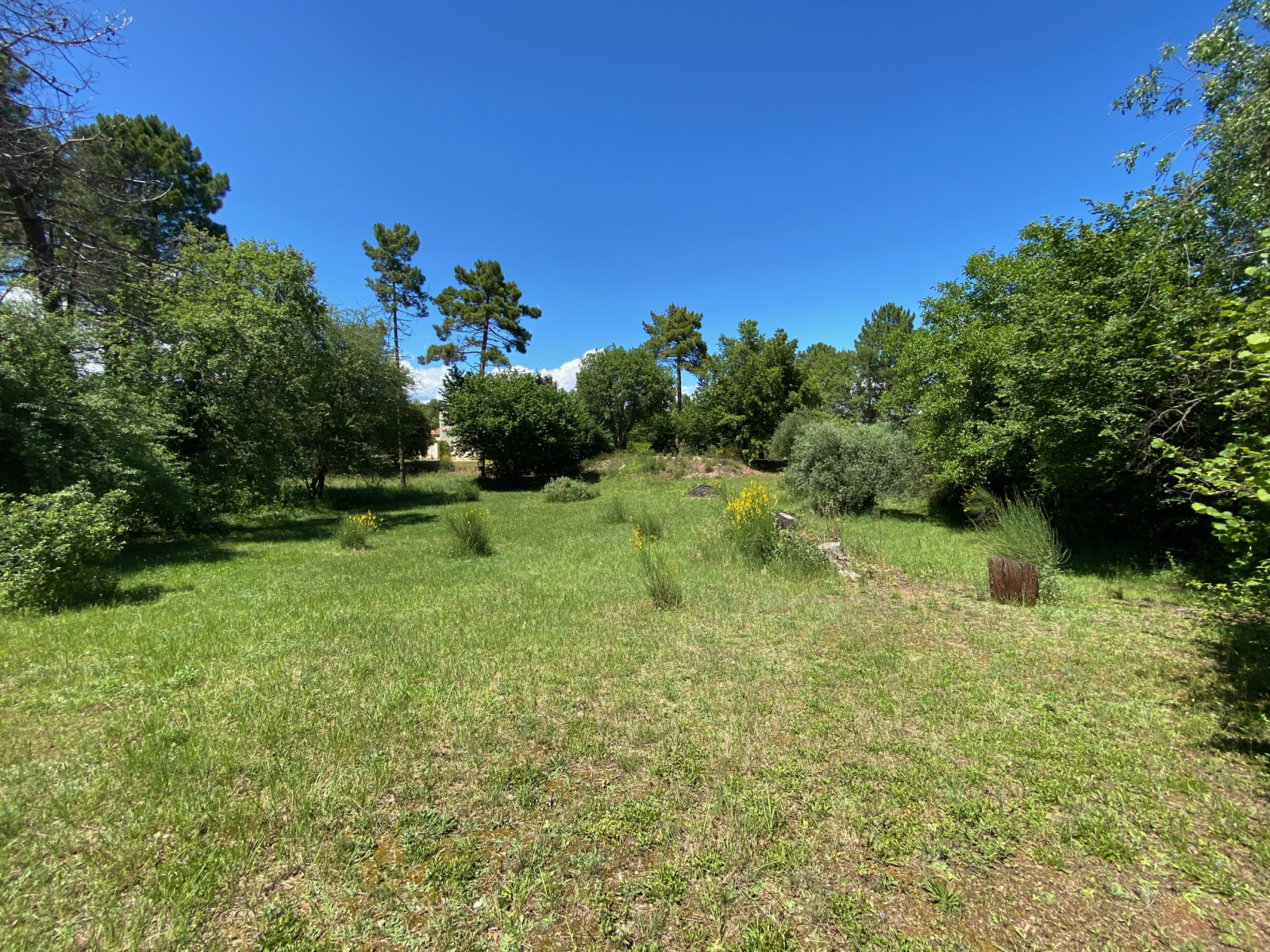 Image_2, Terrain, Montauroux, ref :ASL4101