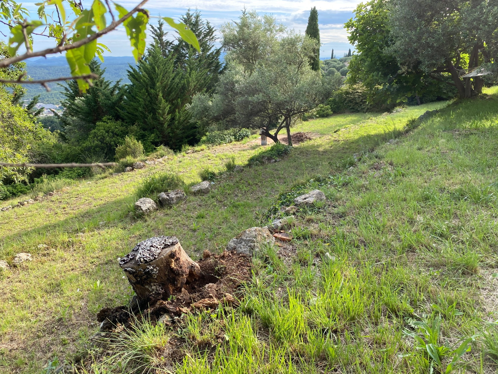 Image_2, Terrain, Montauroux, ref :007