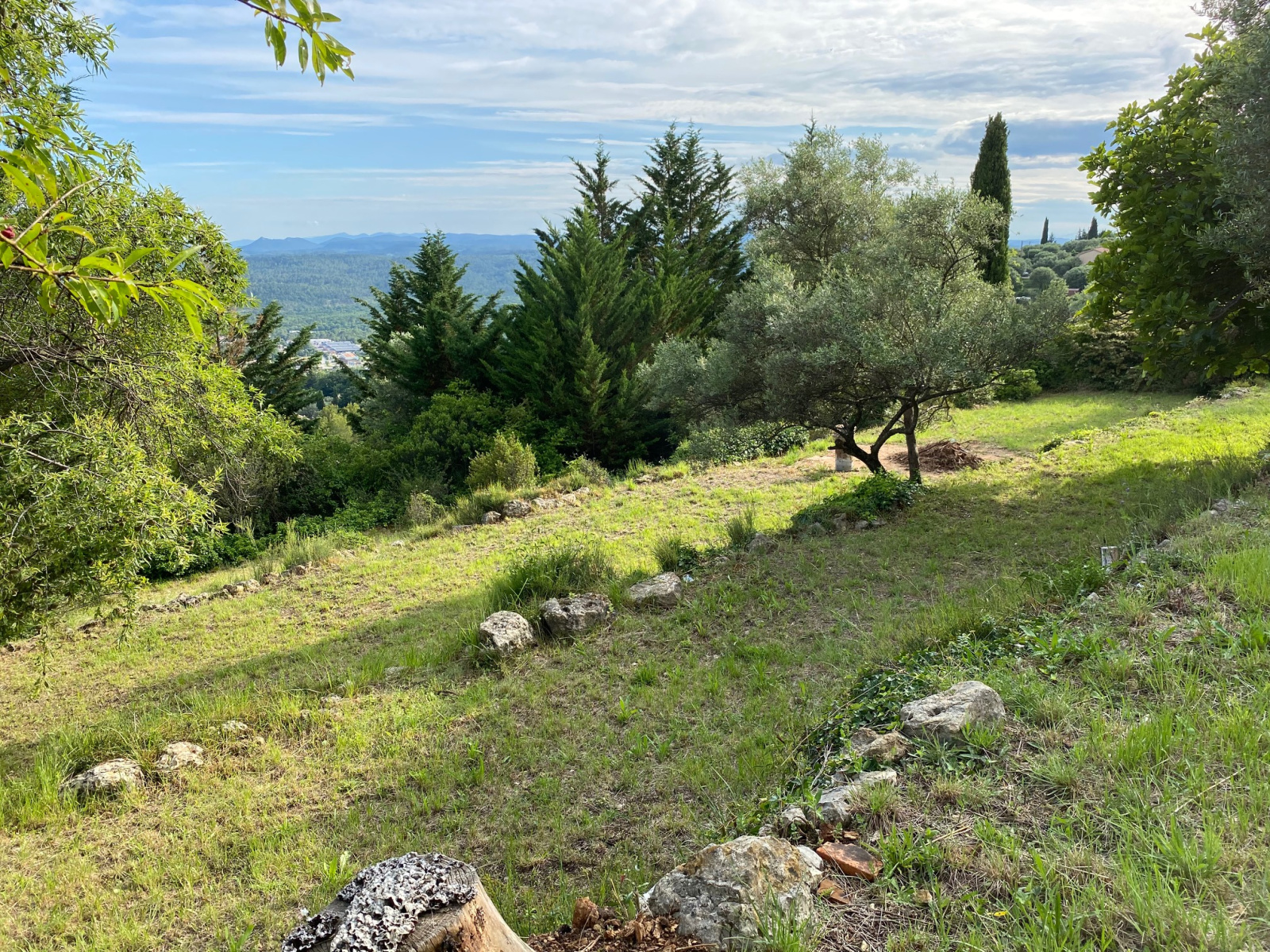 Image_1, Terrain, Montauroux, ref :007