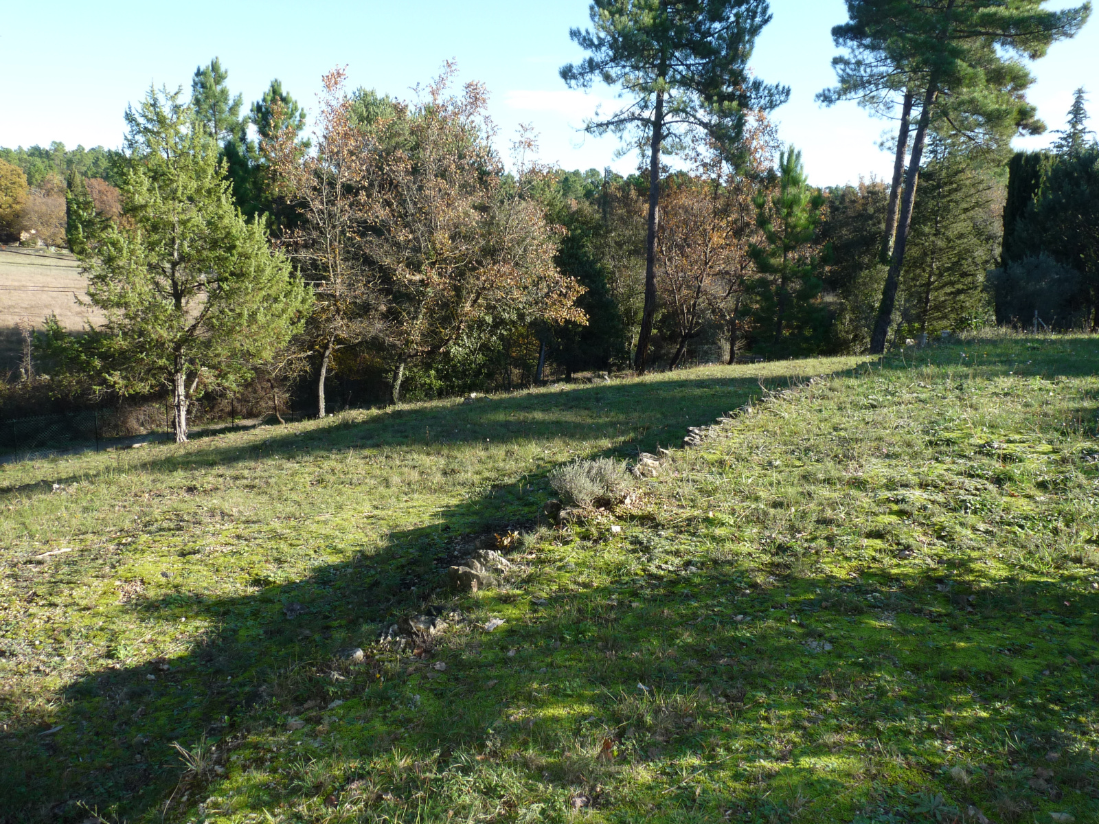 Image_1, Terrain, Montauroux, ref :asl4099